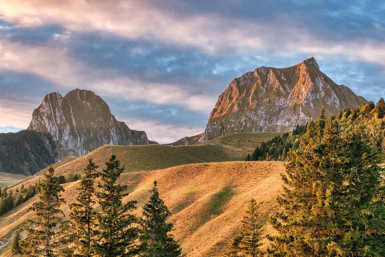 蚂蚁庄园揭秘:“龙飞凤舞”究竟形容何物?“金石丝竹”又指何意? 蚂蚁庄园揭秘:“龙飞凤舞”究竟形容何物?“金石丝竹”又指何意?
